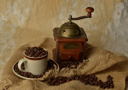 Coffee Machines & Grinders