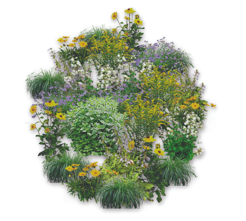 HNP Southeastern USA Plains | Ecoplantia