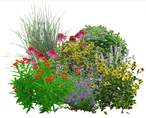 HNP Beginner's Garden | Ecoplantia