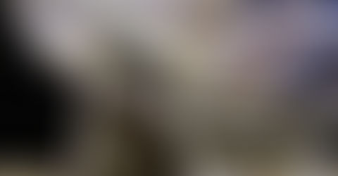 Habilidades de los ratones