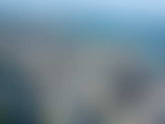 Submission on Wellington City Council’s Long-Term Plan Amendment and 2025-26 Annual Plan