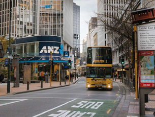 Golden Mile and Courtney Place Pathways for Intervention