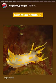 Selection Hebdo Magazine plongez juin 20