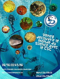 affichette CSC.JPG