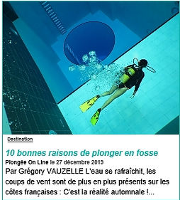 Plonger en Fosse.jpg