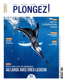 Plongez n°31.jpg