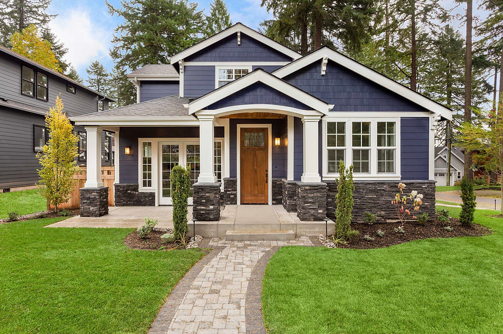 house blue 2.jpg