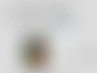 Small Scale Self-Build Housing Proposals in Chadwick End