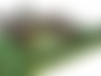 Dwellings Approved in Place of Agricultural Conversion