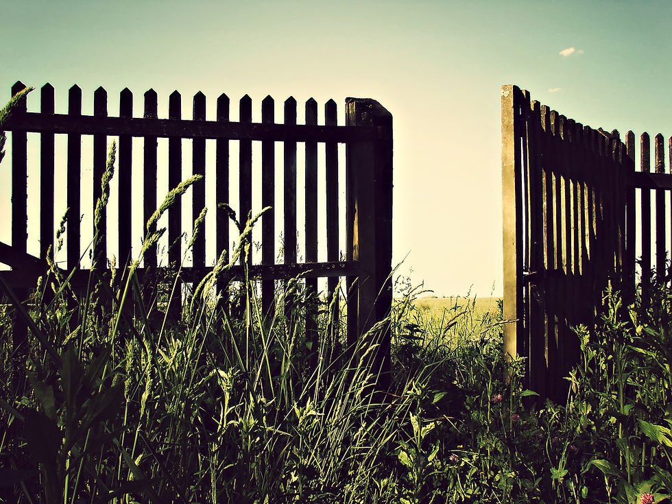 High Court confirms councils cannot use “openness” to block Grey Belt schemes