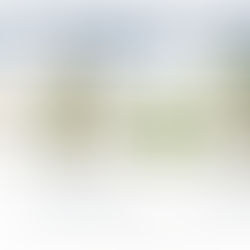 BNG update: Government moves to simplify rules for smaller sites