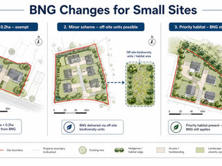 BNG update: Government moves to simplify rules for smaller sites