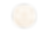 sand dollar.png