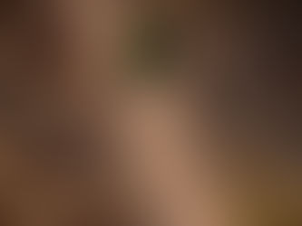 Bancos vão exigir que frigoríficos provem não comprar gado de áreas desmatadas