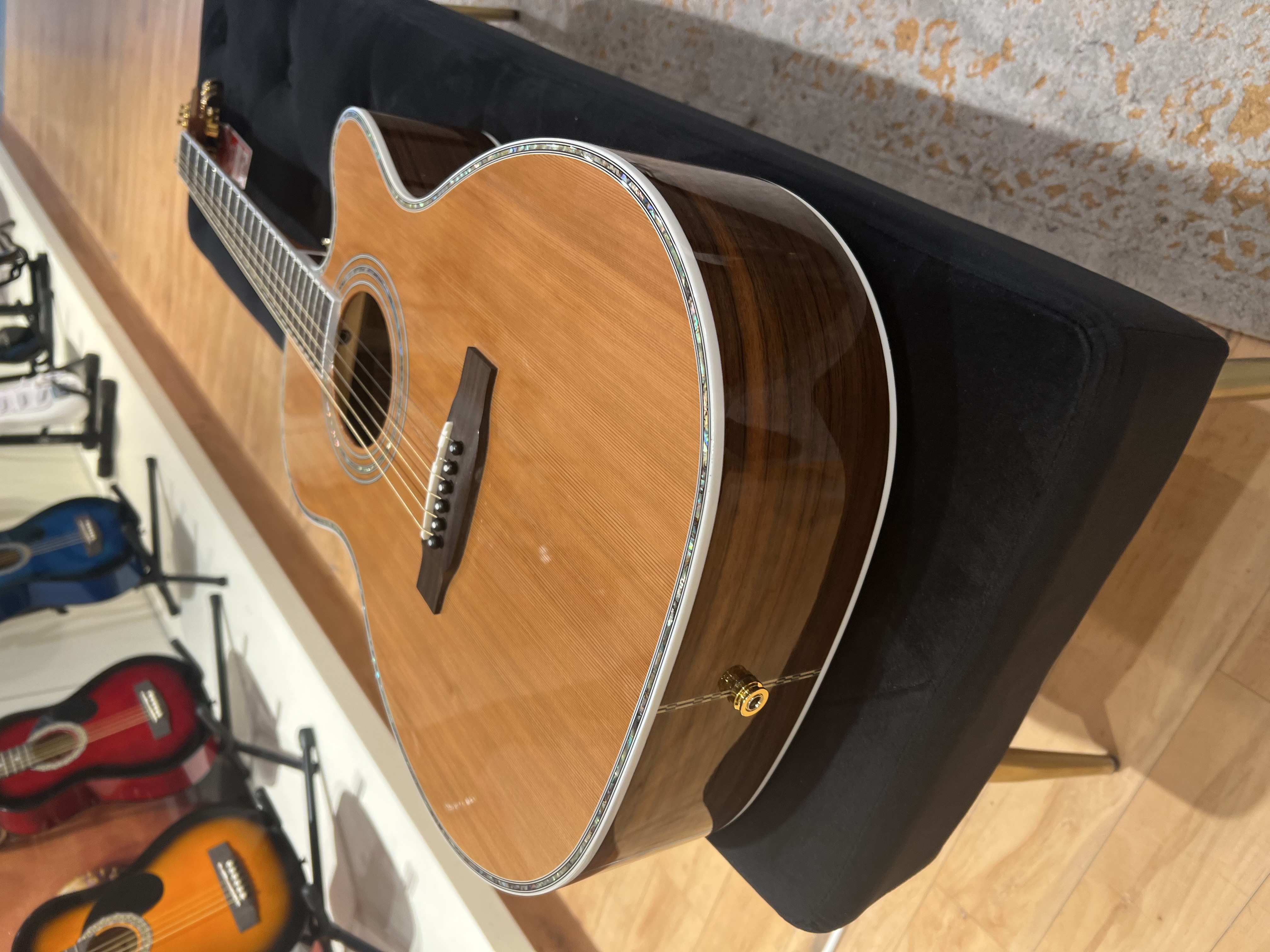 Zager Acoustic Guitar view 3