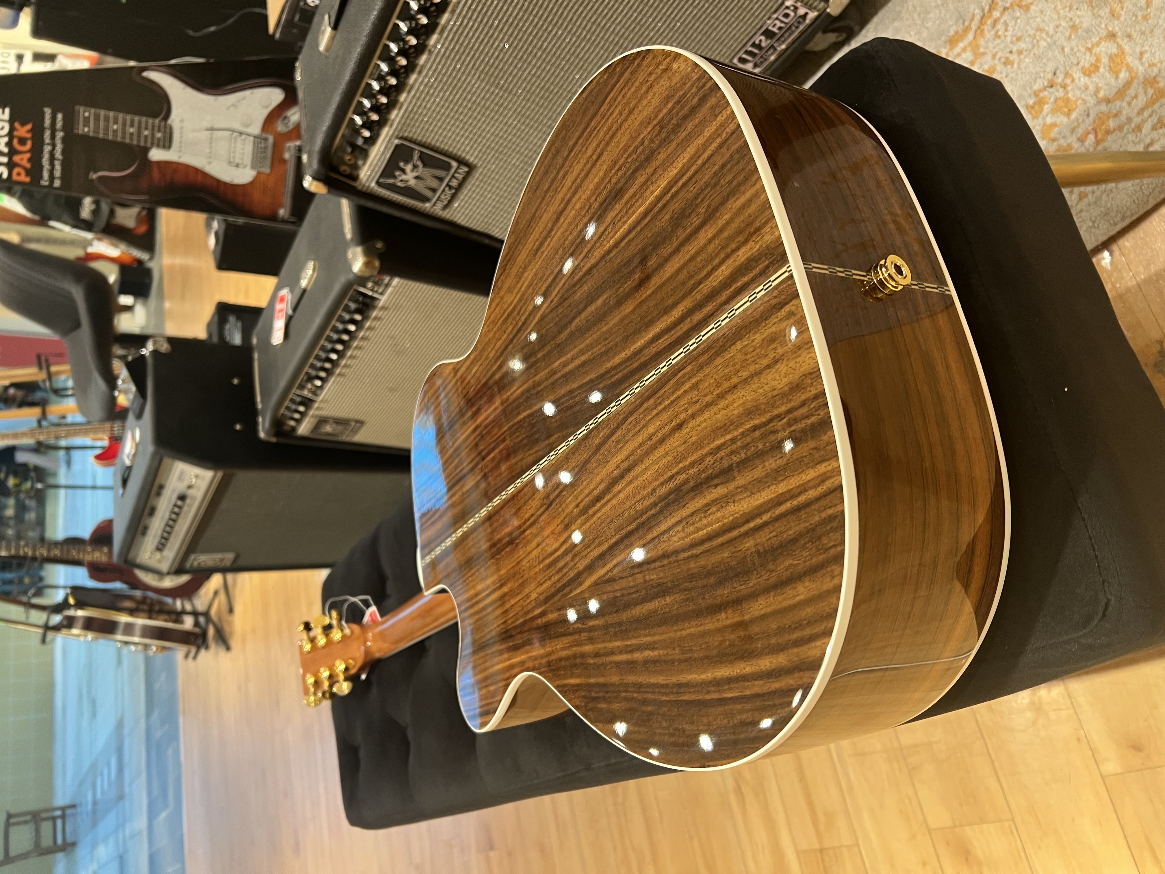 Zager Acoustic Guitar view 6