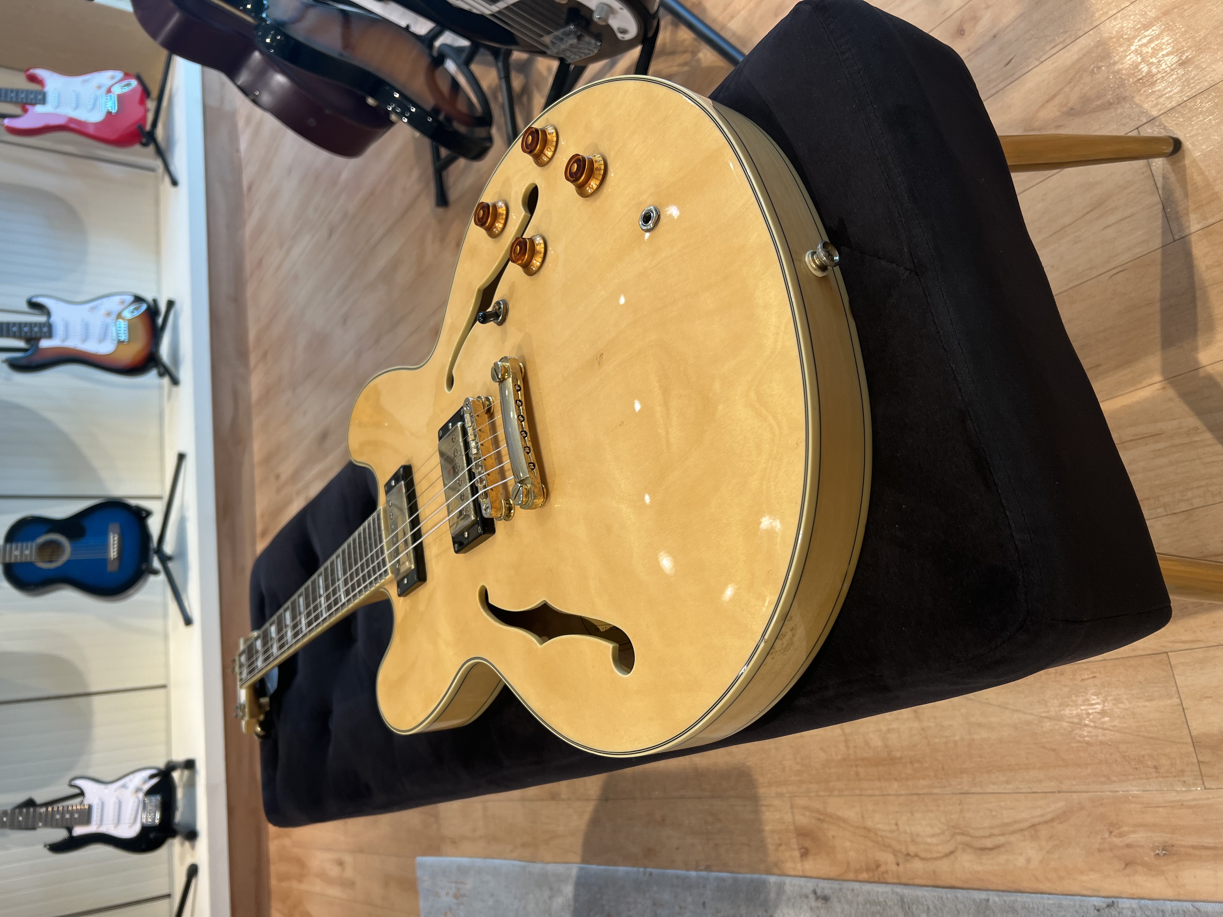 2010 Epiphone Sheraton II NA view 2