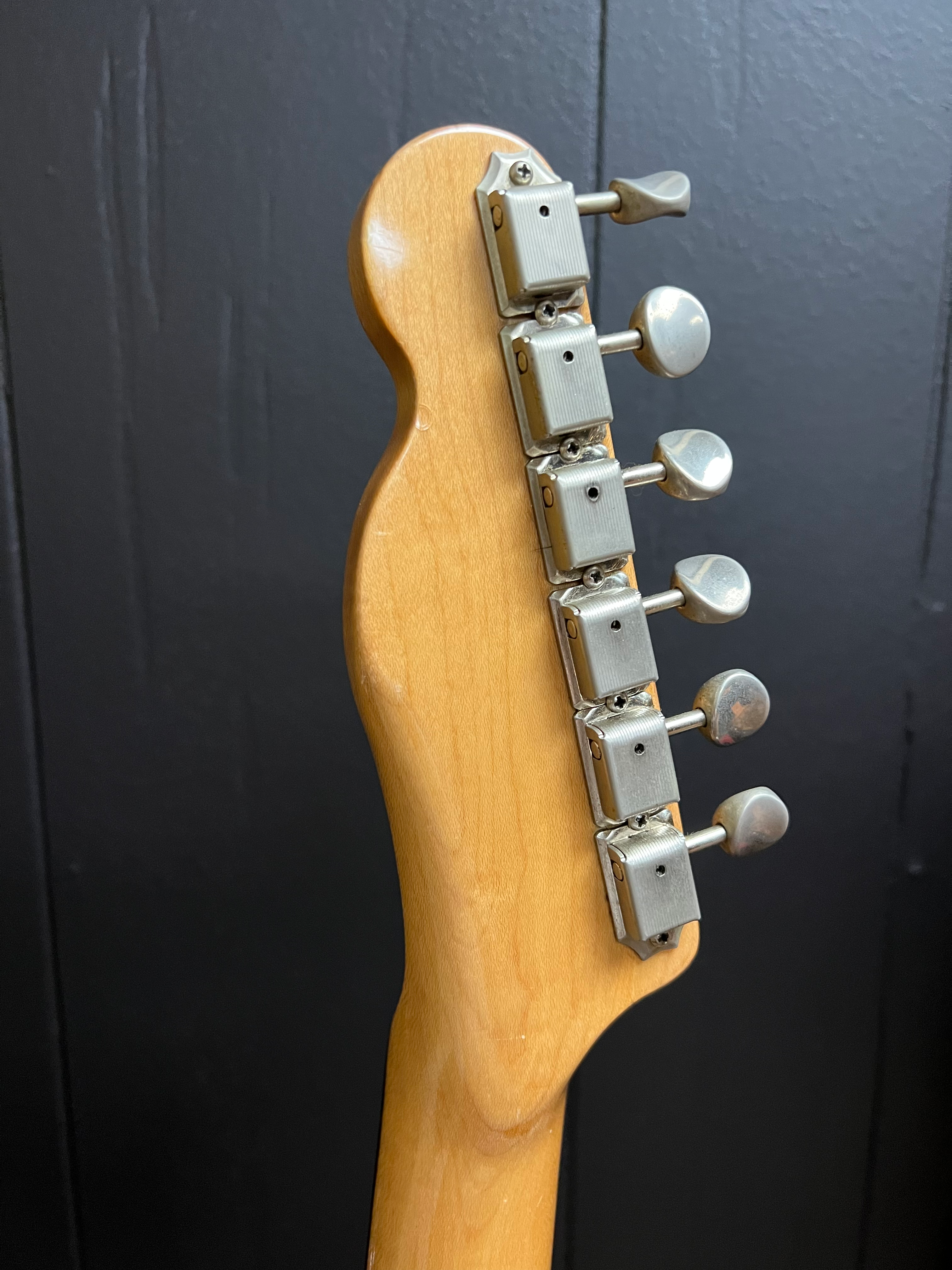 Fender Bullet Red USA 1981 view 5