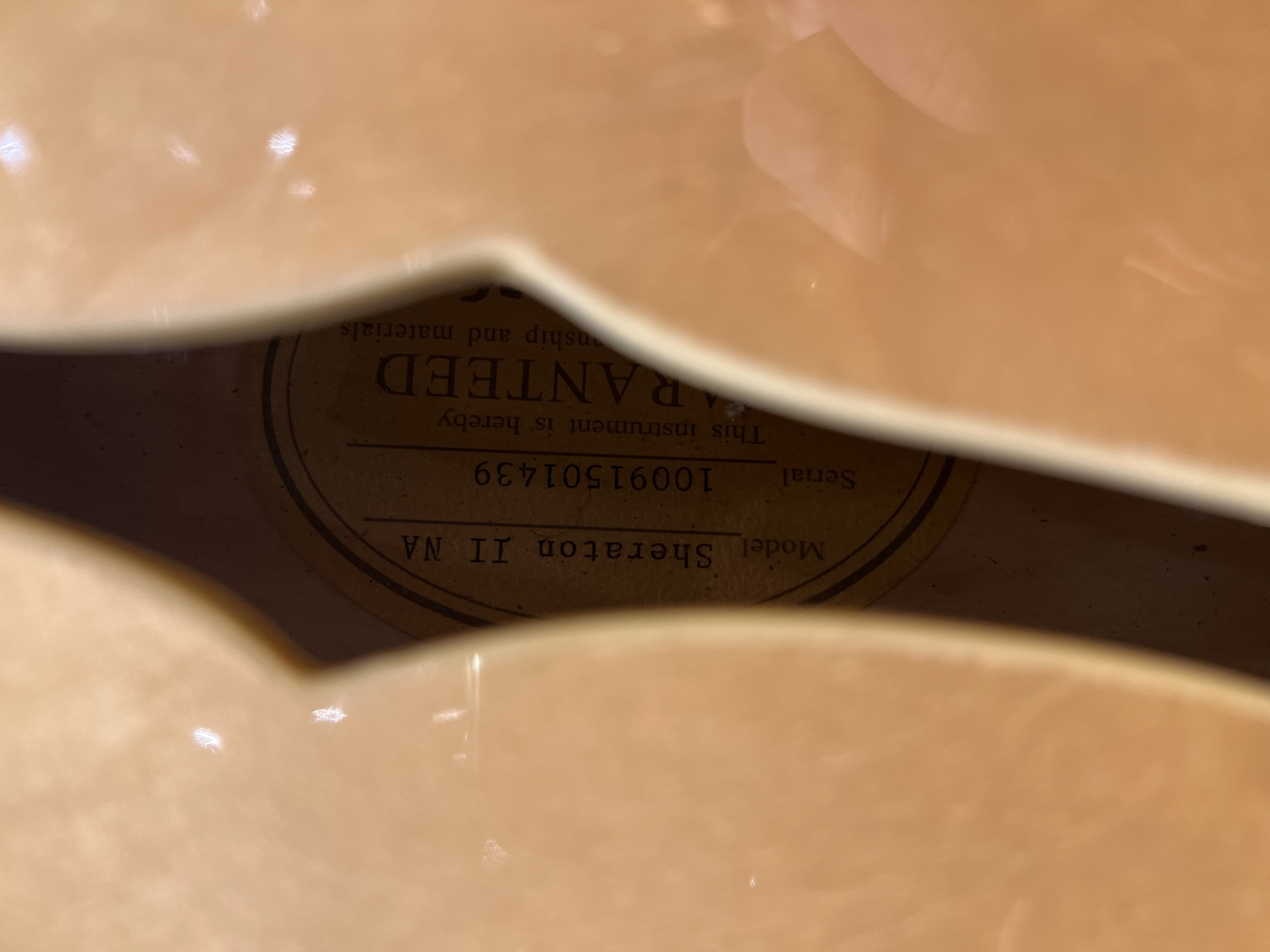 2010 Epiphone Sheraton II NA view 9