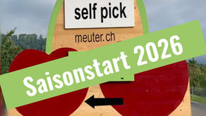 Saisonstart 2026 Kirschen Self Pick