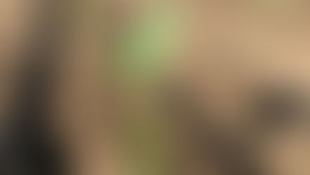 unsere ersten Broccoli’s werden gepflanzt..🥦