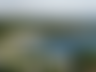 Aerial view of Oak Bay, Victoria, showing a curved pebble beach, calm blue ocean water, and a coastal neighborhood of homes nestled among green trees under a partly cloudy sky.