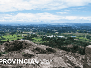 Panoramic view from a rocky lookout over green fields, forests, and suburban neighborhoods stretching toward the ocean under a blue, cloud-filled sky in Gordon Head.