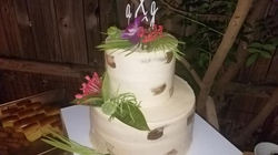 53036301_562258877610675_433498853570353