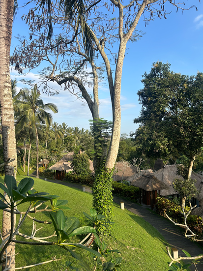Maya Ubud