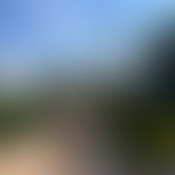 Petunia Ibiza x Feeria Club