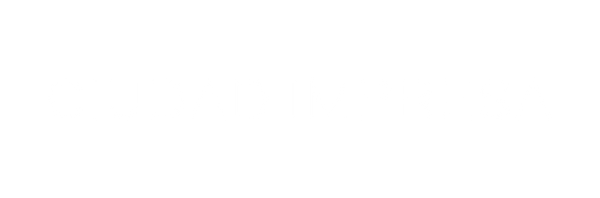 CI (1).png