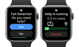 Fall Detection cover.png