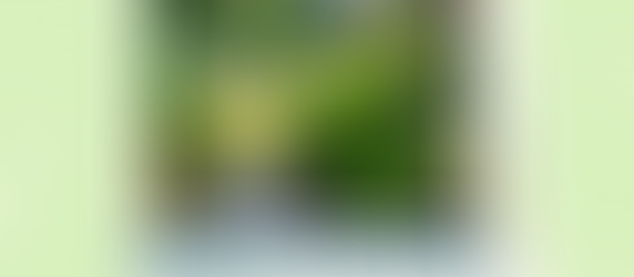 Rabata w stylu… śródziemnomorskim