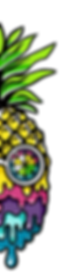 PPP Transparent, right half.png