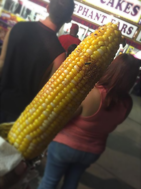 Sweet Corn on the Cob