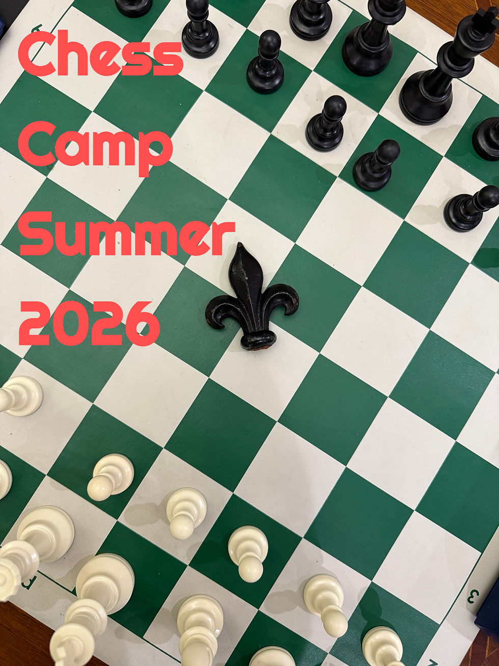 Summer Camp at the New Orleans Chess House - Full Day