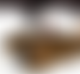 Imagina se fosse o Lula!