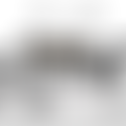 A facção criminosa da estupidez