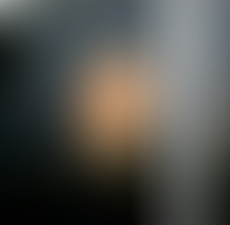 Julian Assange: Carta do cárcere