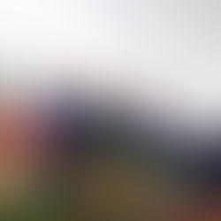 Bolsonaro monta a sua guarda pretoriana