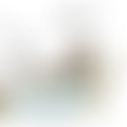 Bolsonaro é o racista-chefe da Ku Klux Klan e do 'lixo-branco' brasileiro