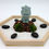 Miniature : Jardin zen - lion