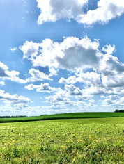 Wisconsin Skyline