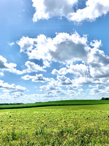 Wisconsin Skyline