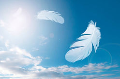 istockphoto-1264225114-612x612.jpg