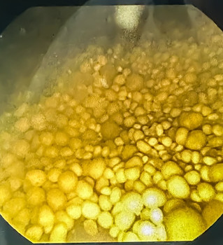 MicrosoftTeams-image (205)_edited.jpg