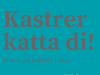 + Kastrer katta di +