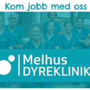 Vi søker dyrepleier!