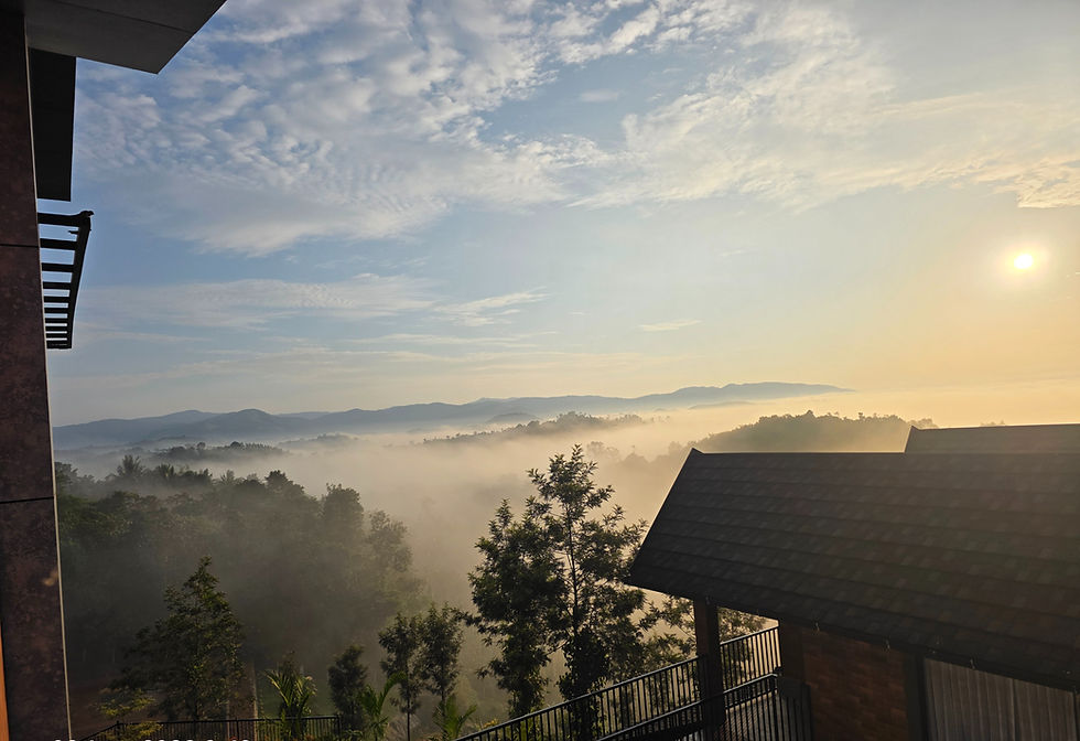 scene-hill-mist