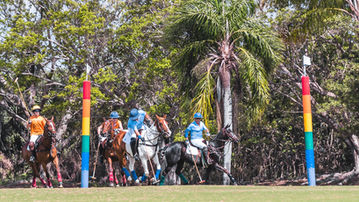 0J2A8503Wellington Polo match photographed by Edwin Figueroa Photography16.jpg